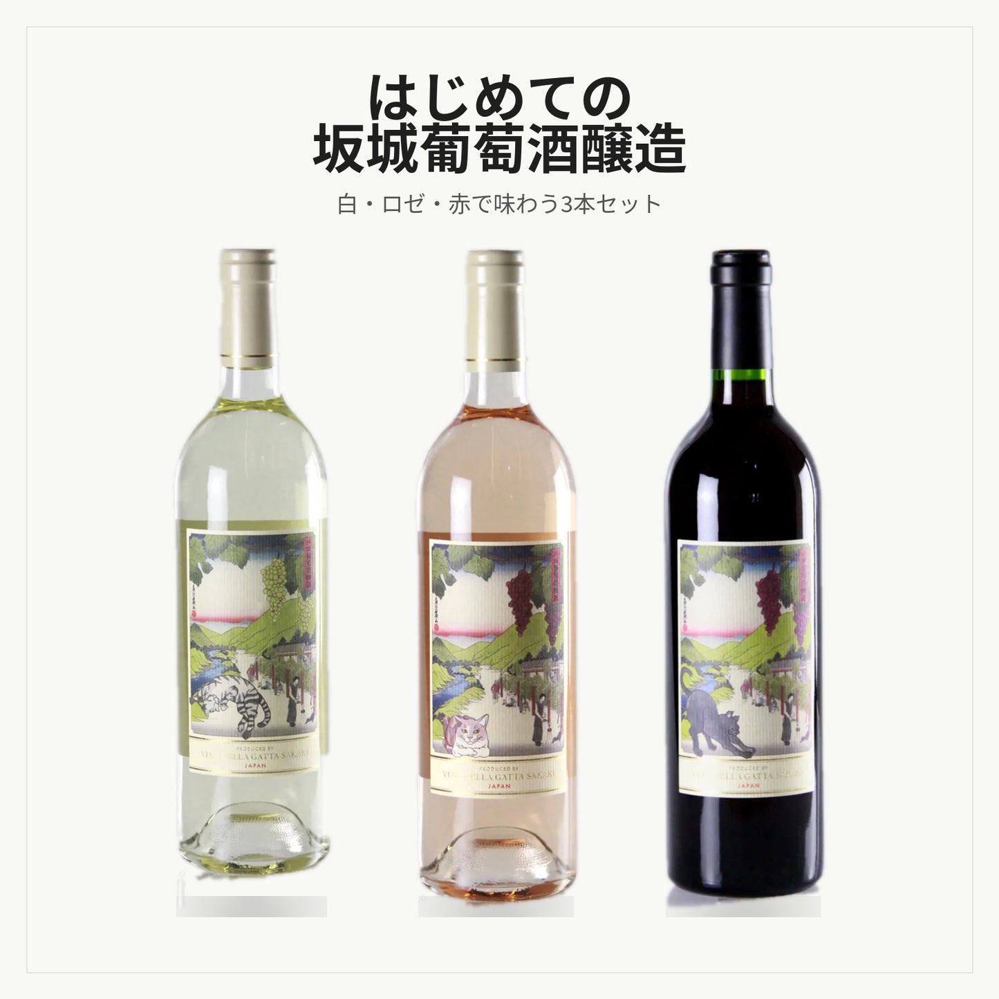 はじめての坂城葡萄酒醸造 3本セット